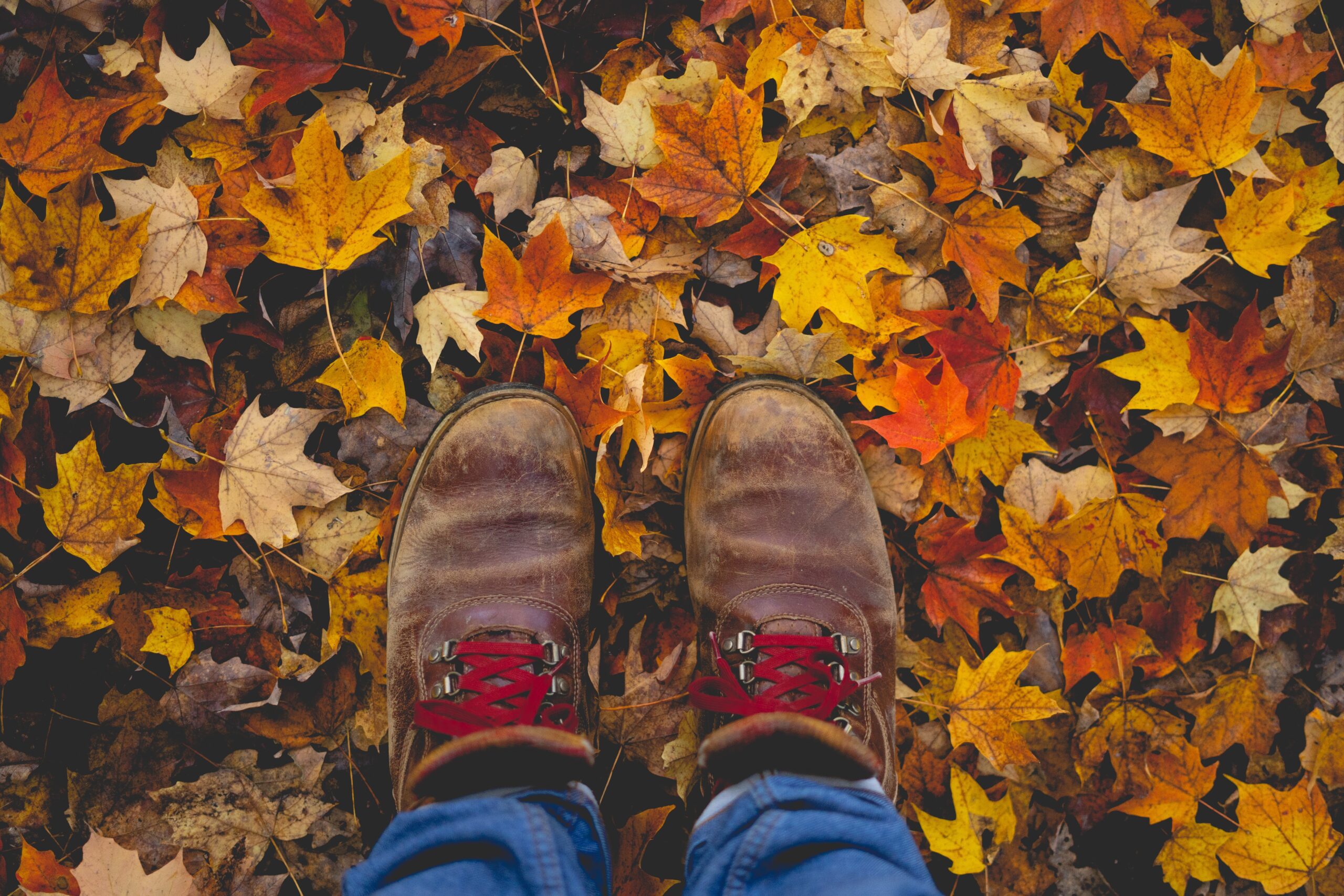 Feet standing on autumn leaves on the ground